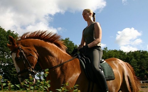 Gestüt-Seepark: Daniela Bruch
